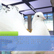 Illustration for article titled I Want Its Plumage, I Want Its Suspense, My Game of the Year Could Be a Bird Romance